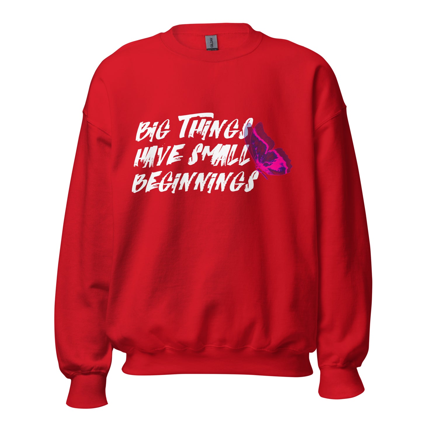 BIG things have small beginnings Unisex Sweatshirt
