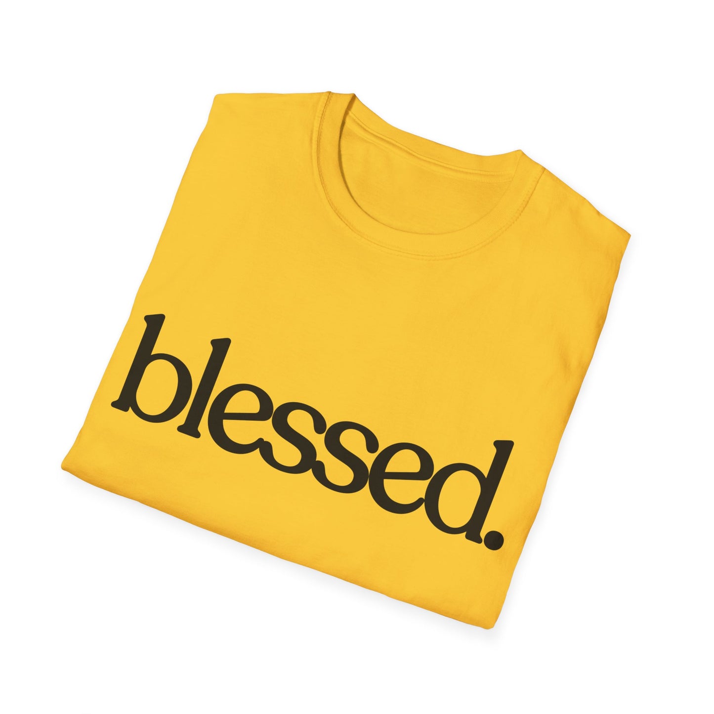Blessed Unisex Softstyle T-Shirt