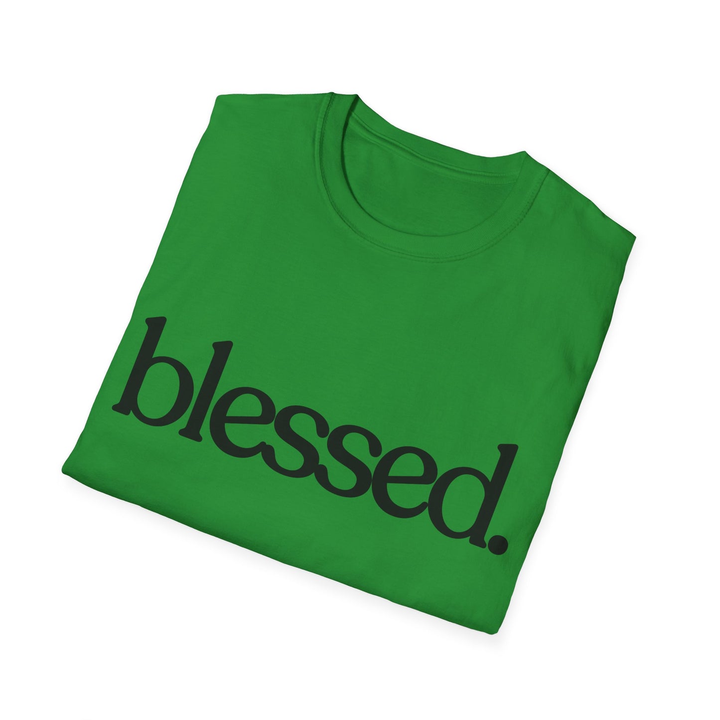 Blessed Unisex Softstyle T-Shirt
