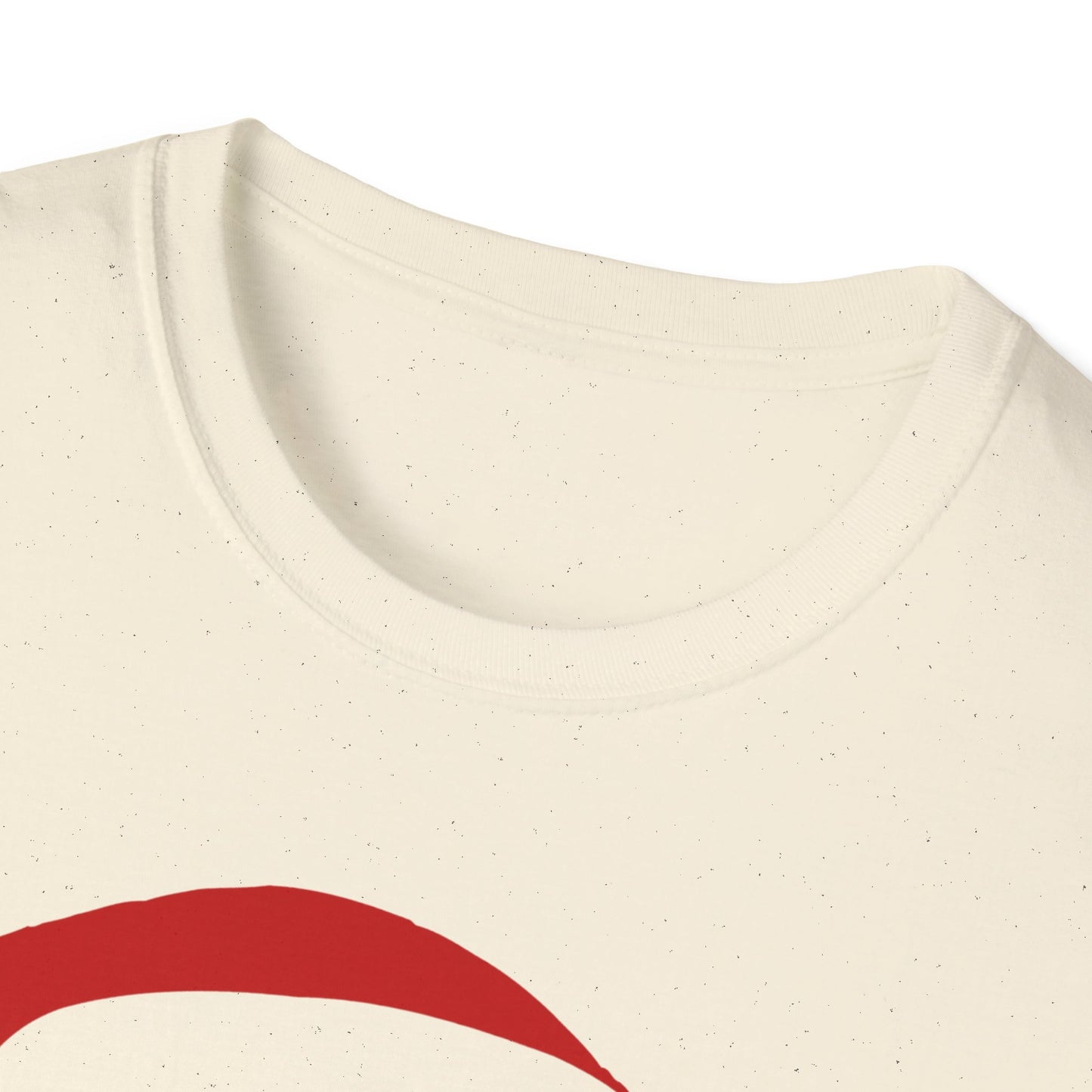 Ho's In This House Unisex Softstyle T-Shirt