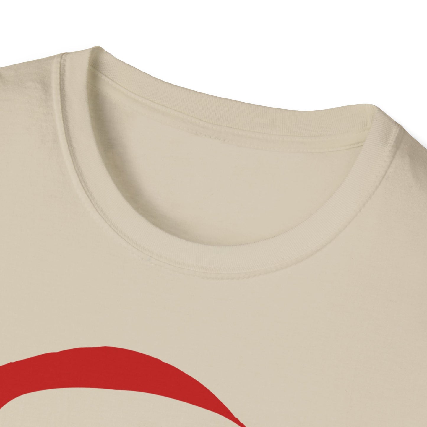 Ho's In This House Unisex Softstyle T-Shirt