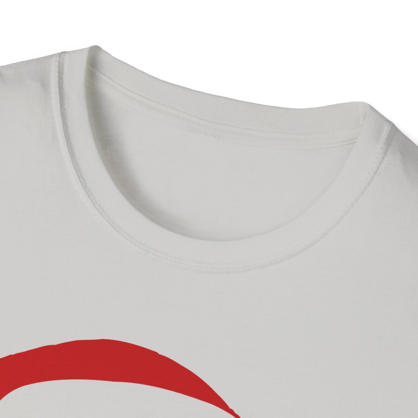 Ho's In This House Unisex Softstyle T-Shirt