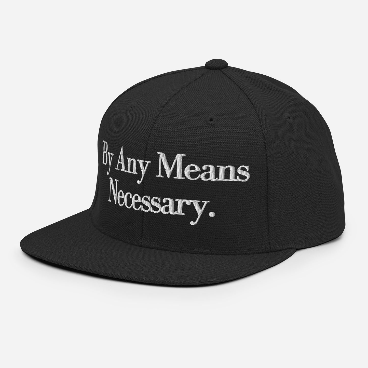 By ANY means necessary. Snapback Hat