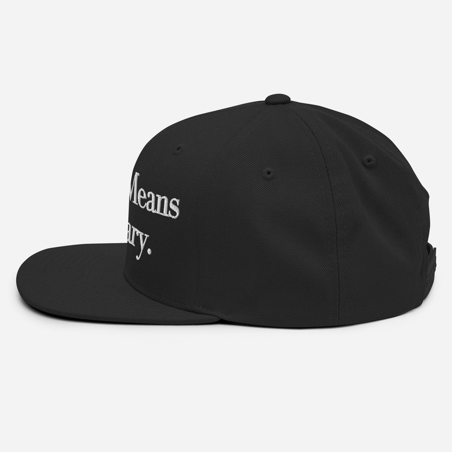 By ANY means necessary. Snapback Hat