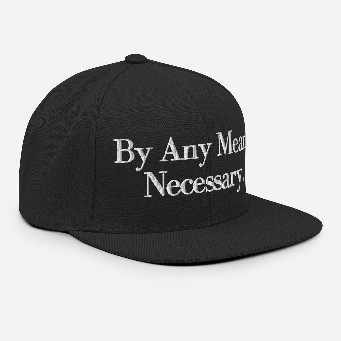 By ANY means necessary. Snapback Hat