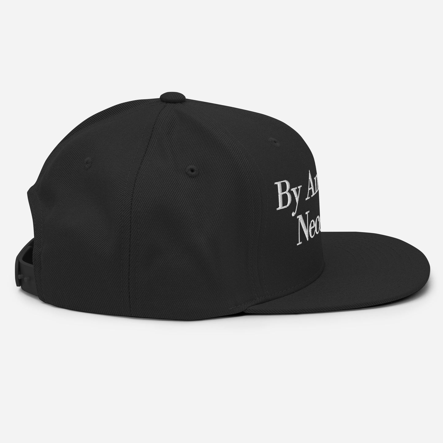 By ANY means necessary. Snapback Hat