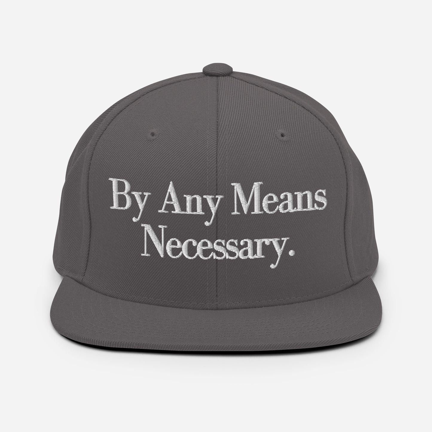 By ANY means necessary. Snapback Hat