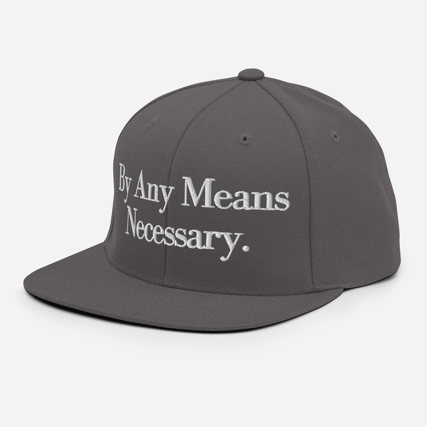 By ANY means necessary. Snapback Hat