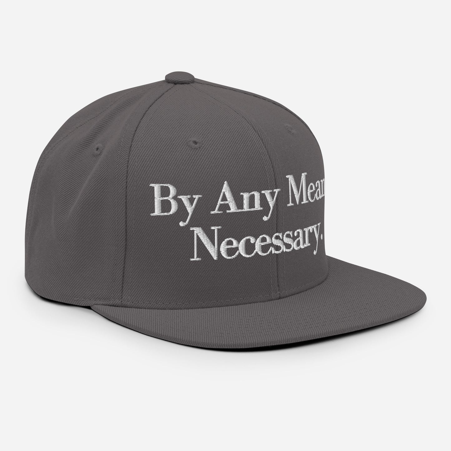 By ANY means necessary. Snapback Hat