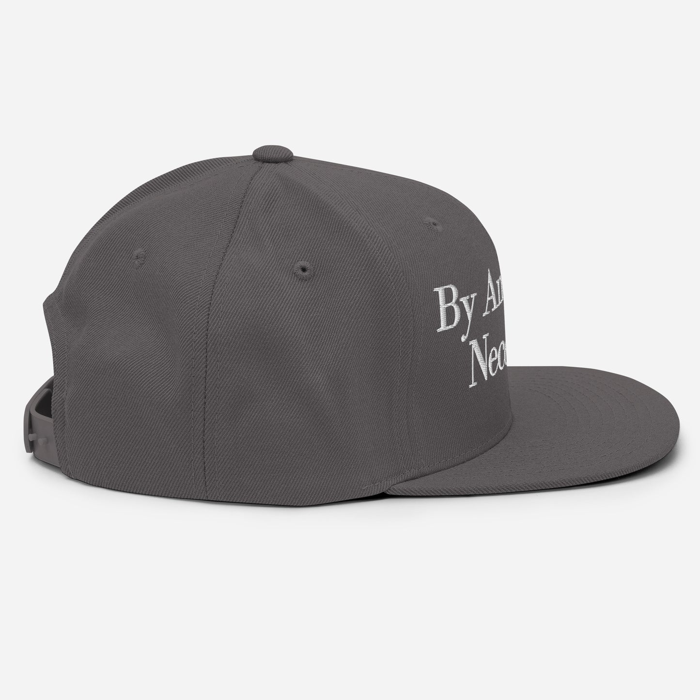 By ANY means necessary. Snapback Hat