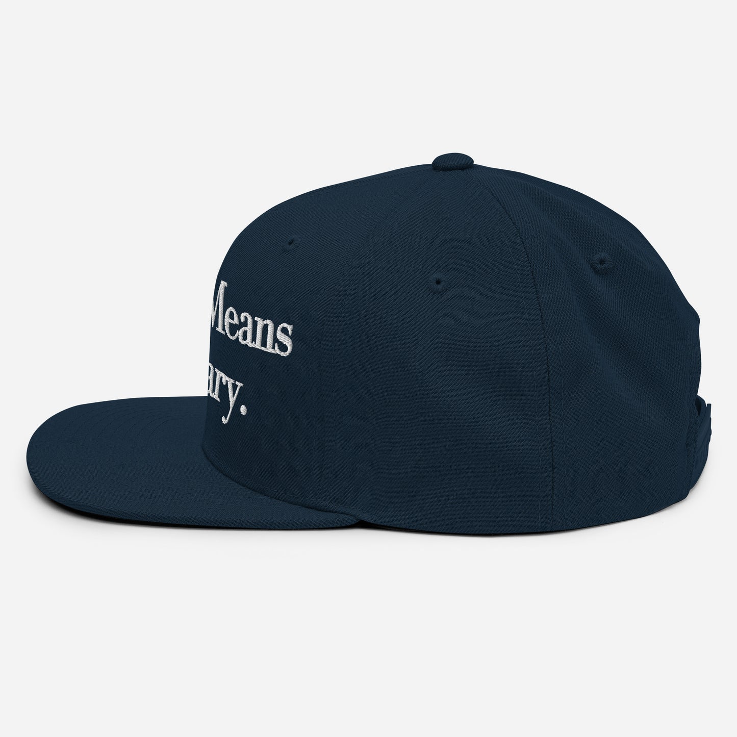 By ANY means necessary. Snapback Hat
