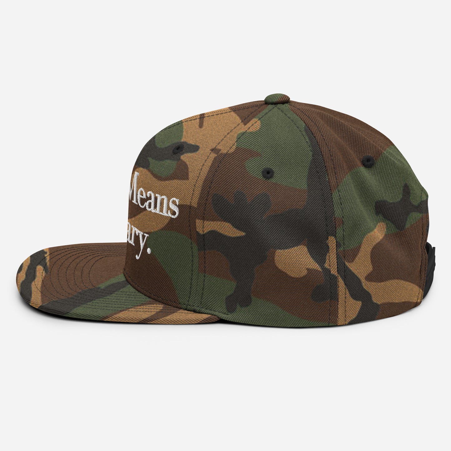 By ANY means necessary. Snapback Hat
