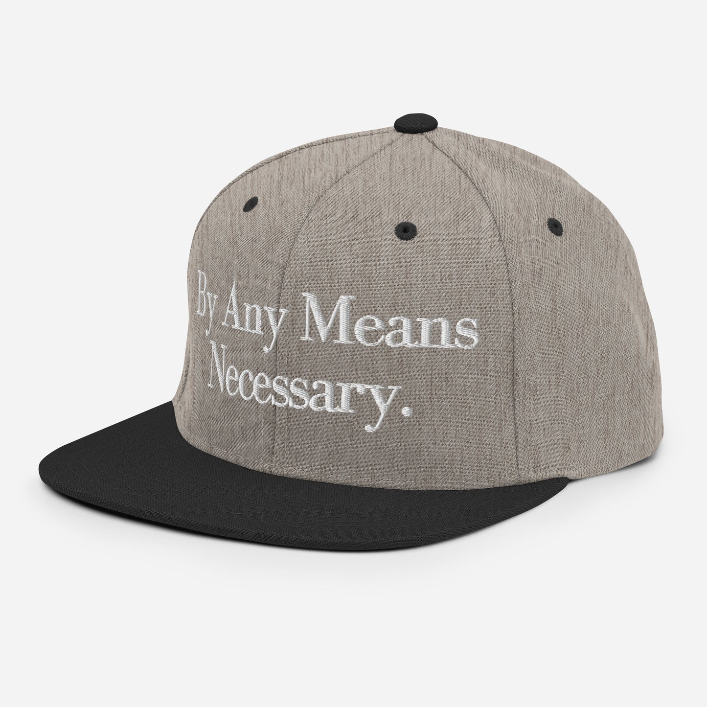 By ANY means necessary. Snapback Hat