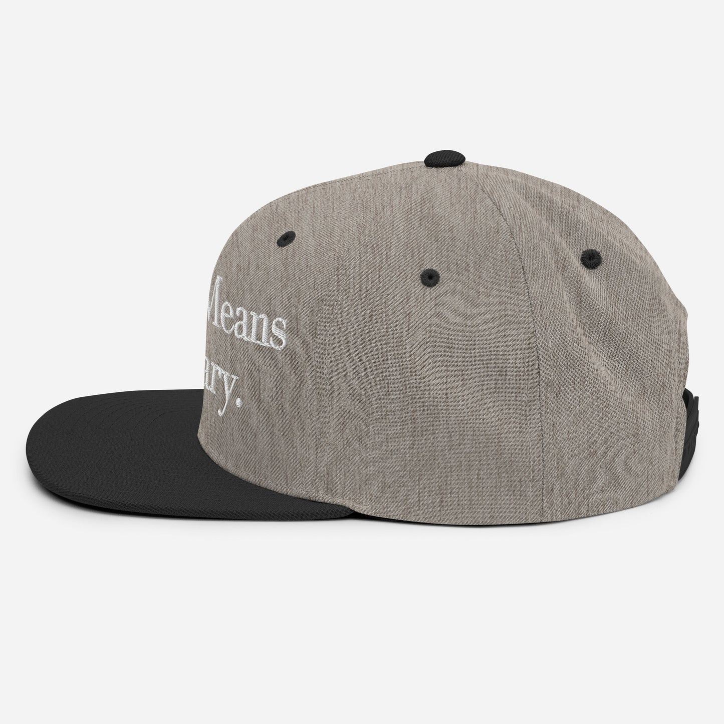 By ANY means necessary. Snapback Hat