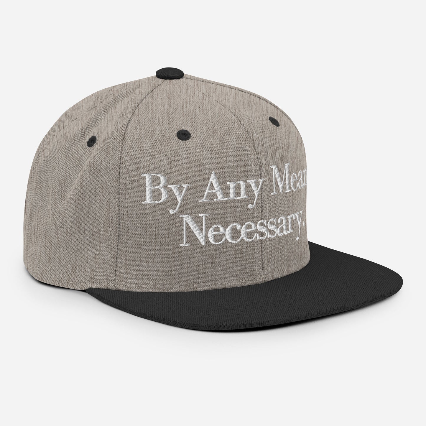 By ANY means necessary. Snapback Hat