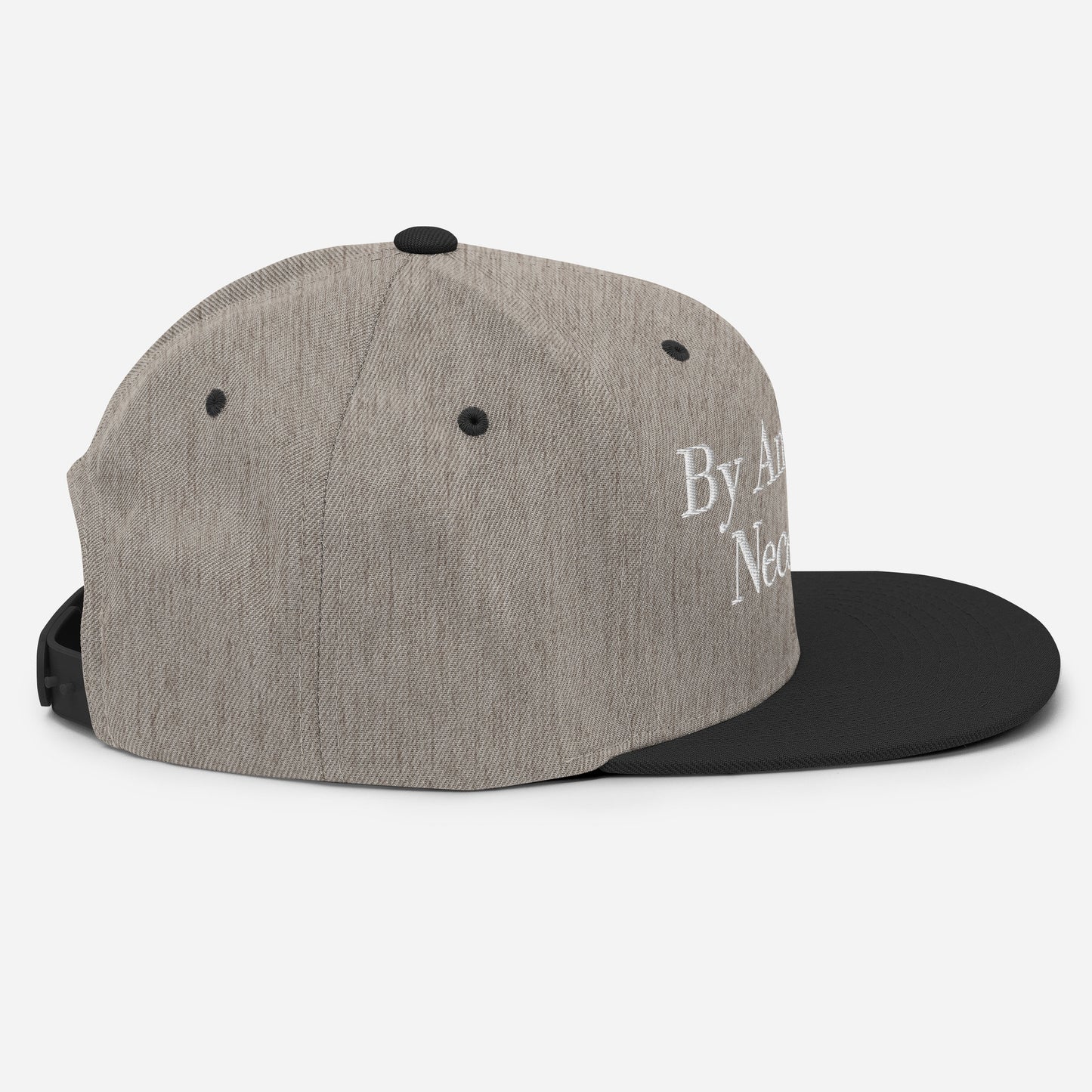 By ANY means necessary. Snapback Hat