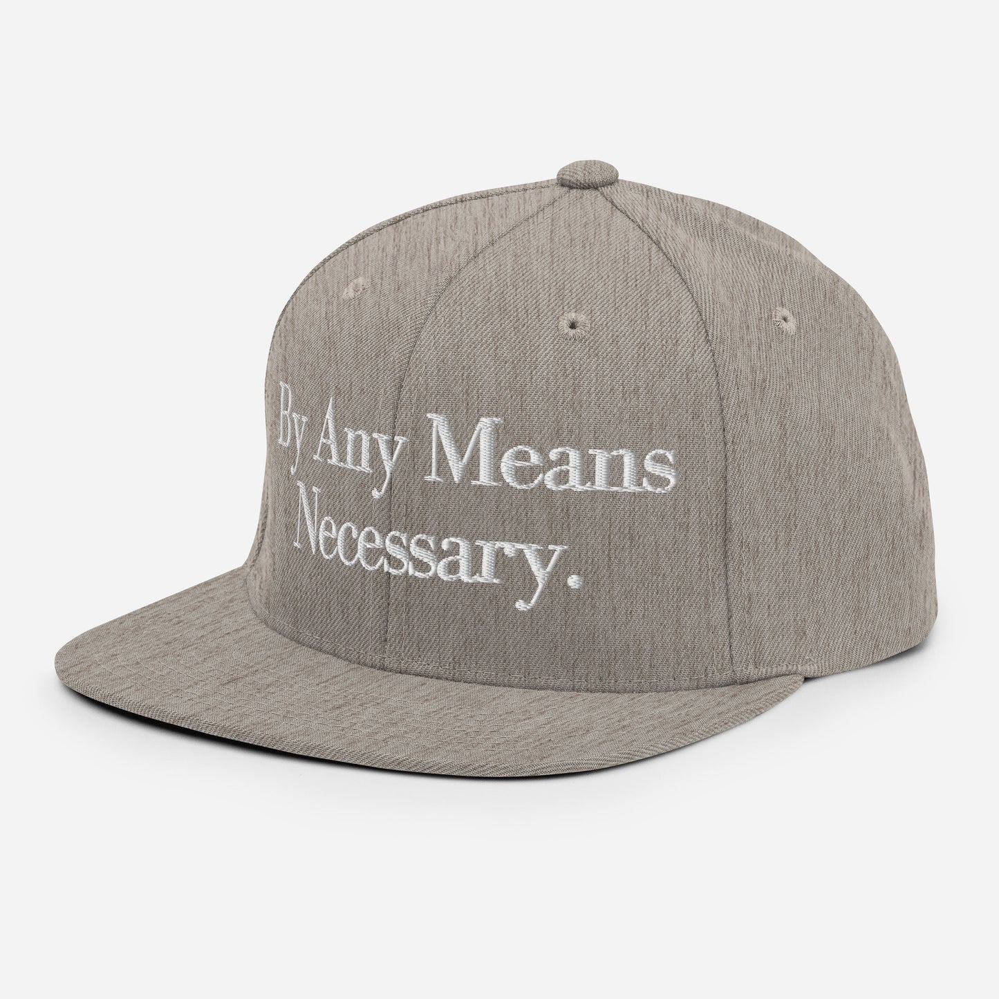 By ANY means necessary. Snapback Hat