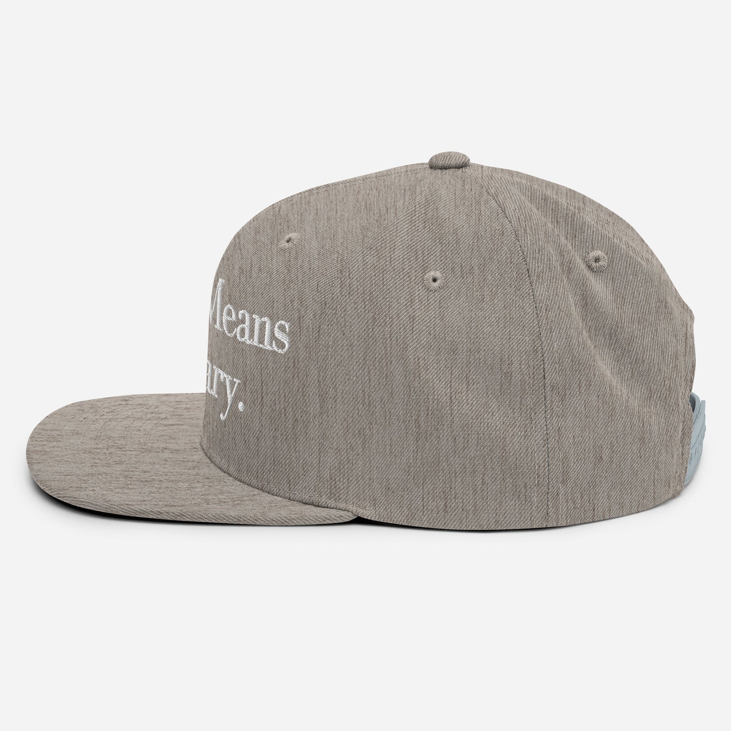 By ANY means necessary. Snapback Hat