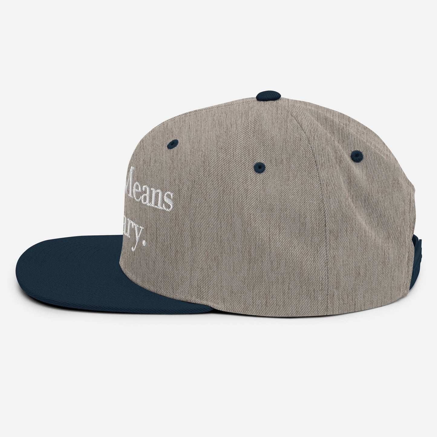 By ANY means necessary. Snapback Hat