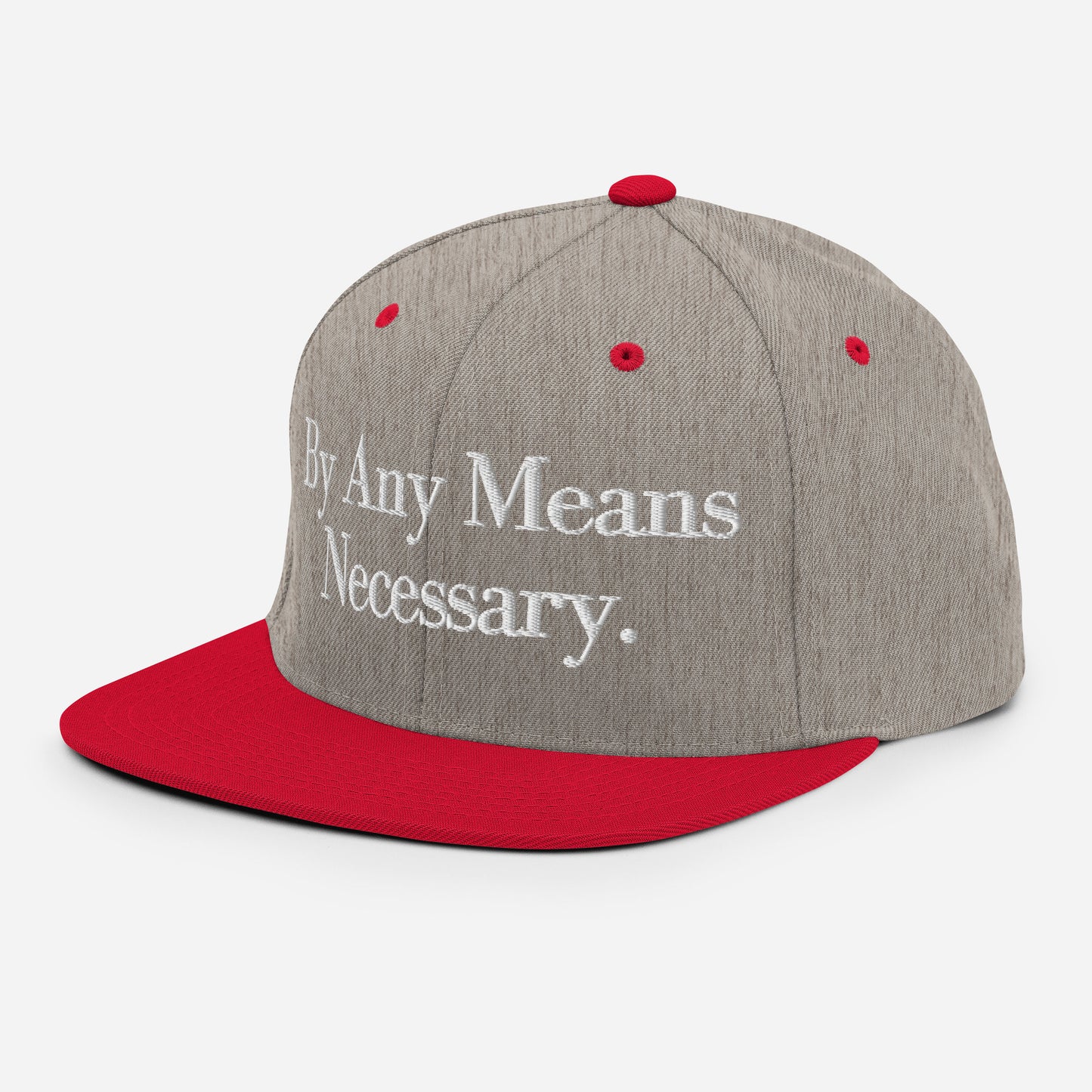 By ANY means necessary. Snapback Hat