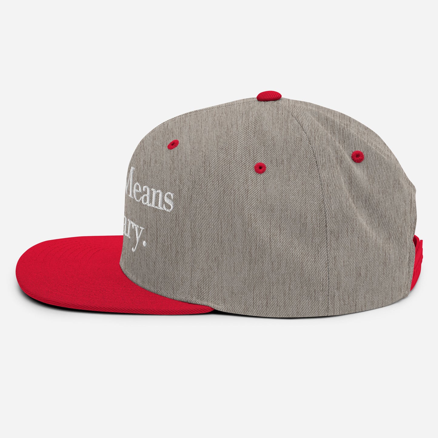 By ANY means necessary. Snapback Hat