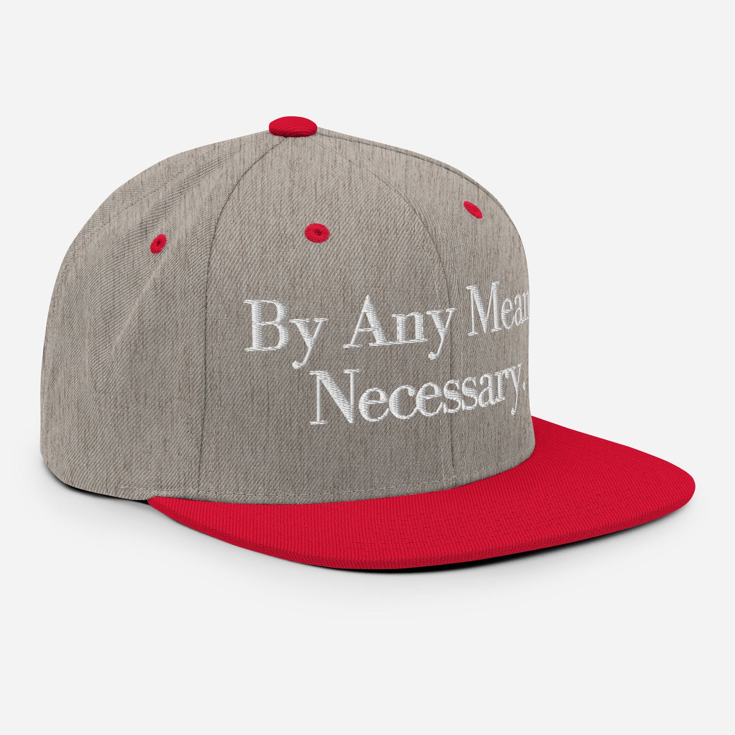 By ANY means necessary. Snapback Hat