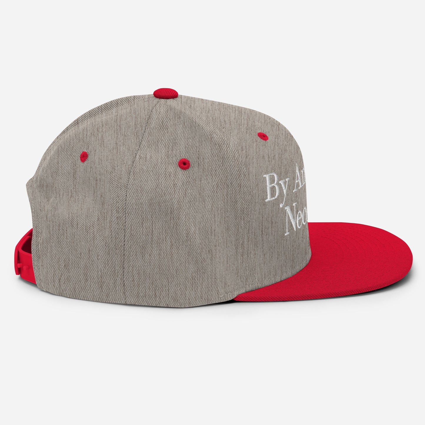 By ANY means necessary. Snapback Hat