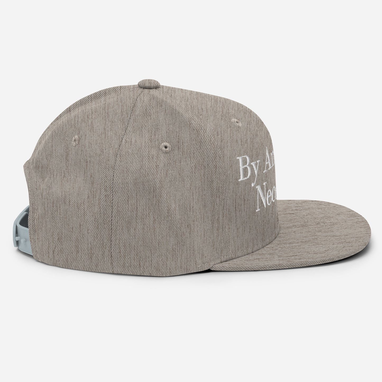 By ANY means necessary. Snapback Hat
