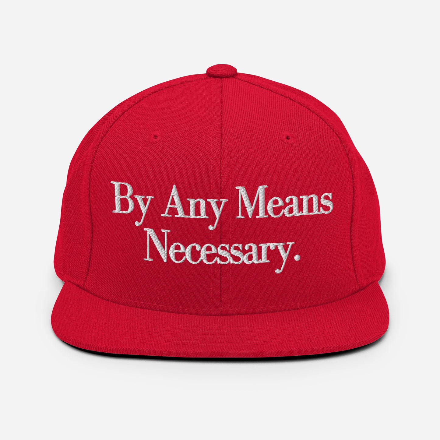 By ANY means necessary. Snapback Hat