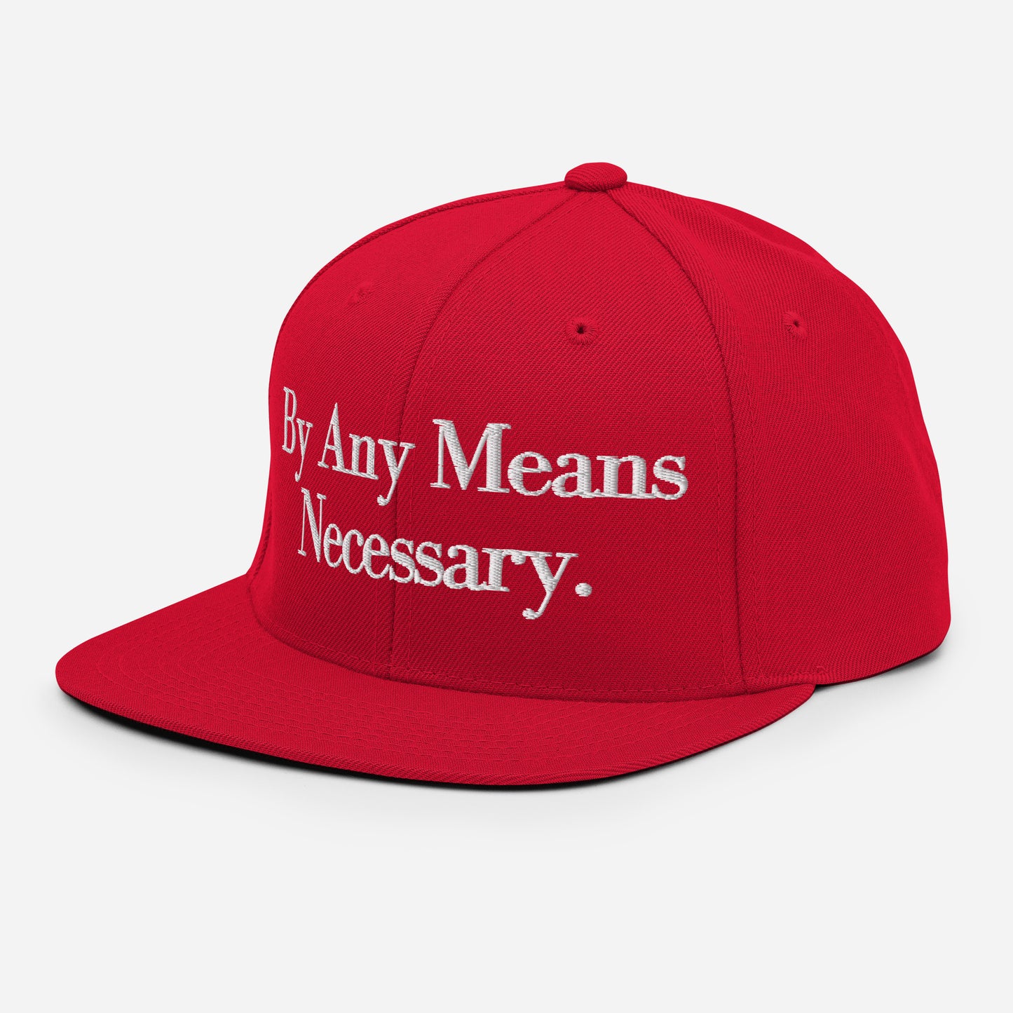 By ANY means necessary. Snapback Hat