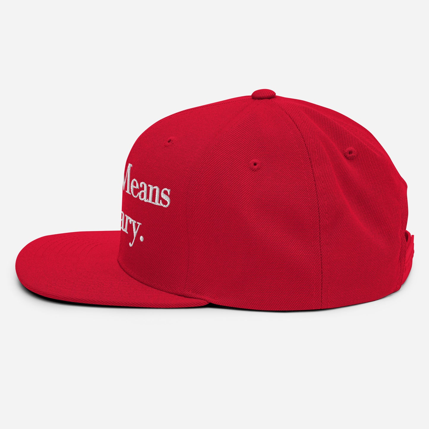 By ANY means necessary. Snapback Hat