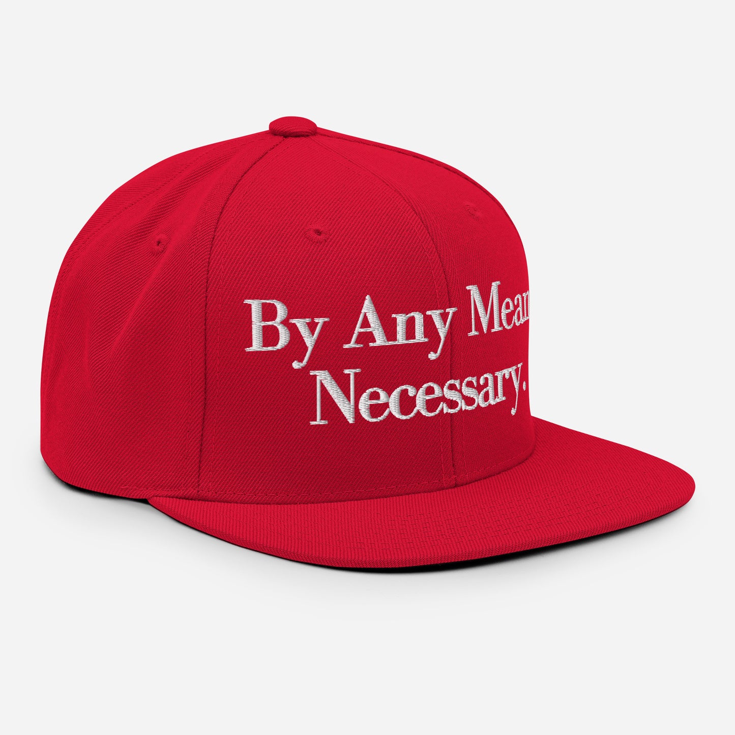 By ANY means necessary. Snapback Hat