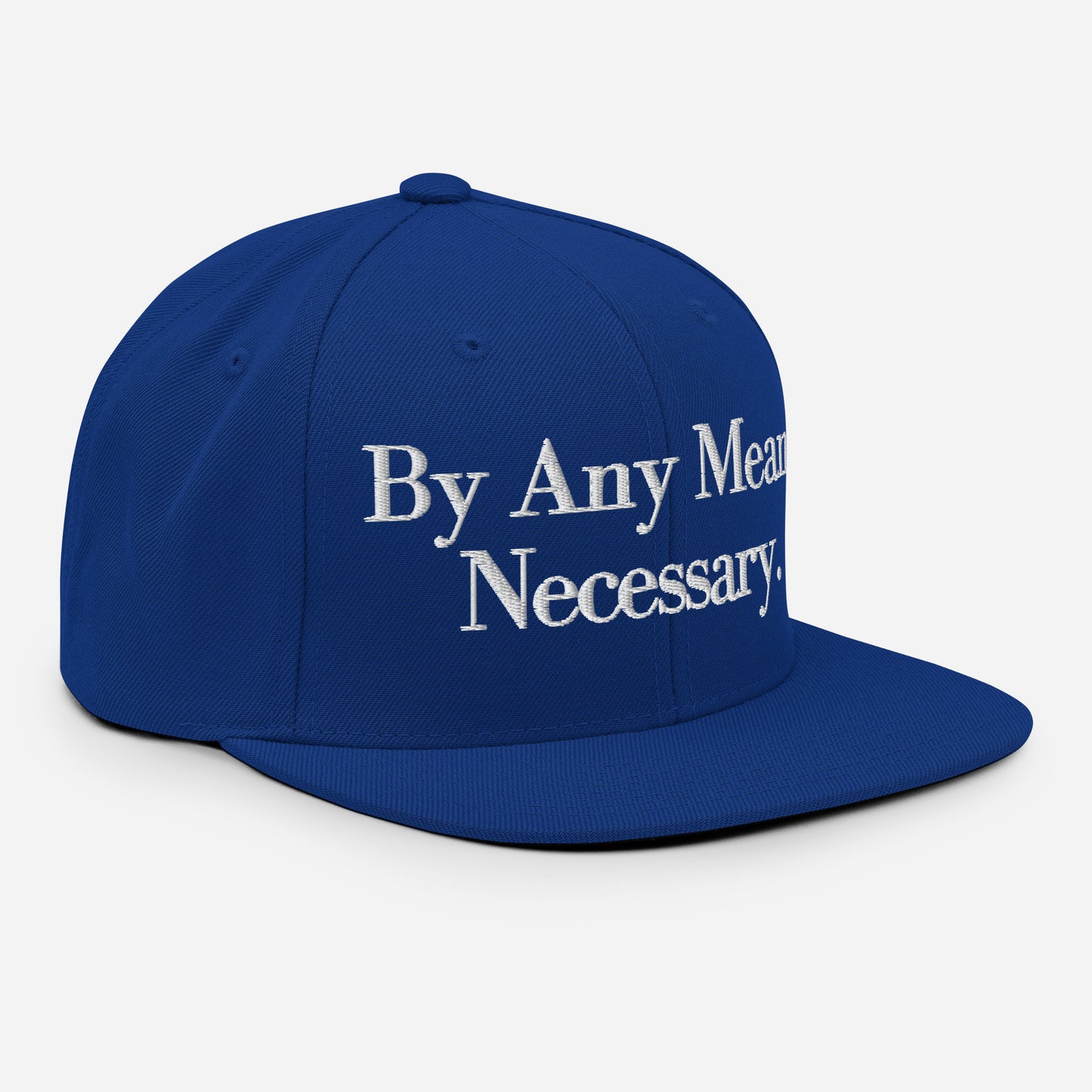 By ANY means necessary. Snapback Hat